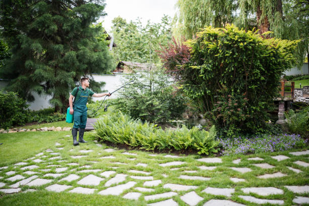 Best Wasp Removal Services  in Roslyn Estates, NY