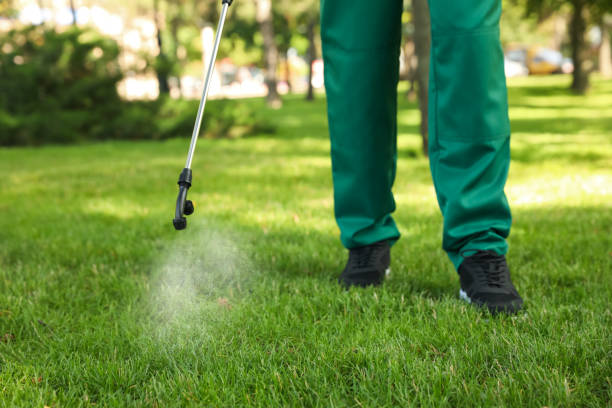 Best Affordable Pest Control Services  in Roslyn Estates, NY