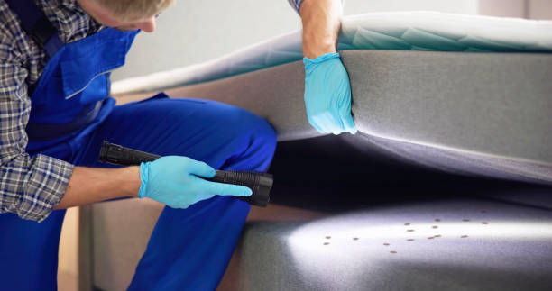 Best Flea Control Services  in Roslyn Estates, NY