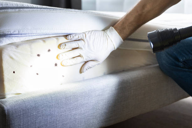 Best Emergency Pest Control  in Roslyn Estates, NY
