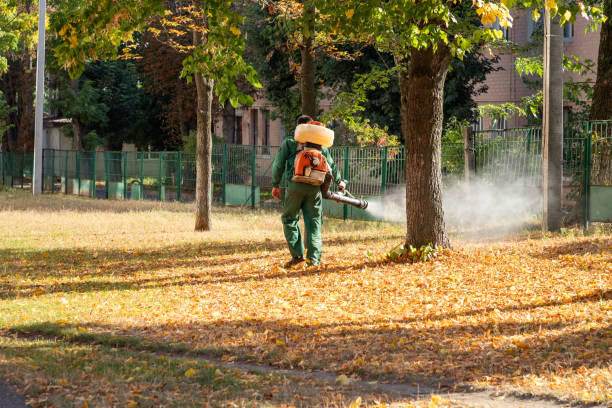 Best Pest Prevention Services  in Roslyn Estates, NY